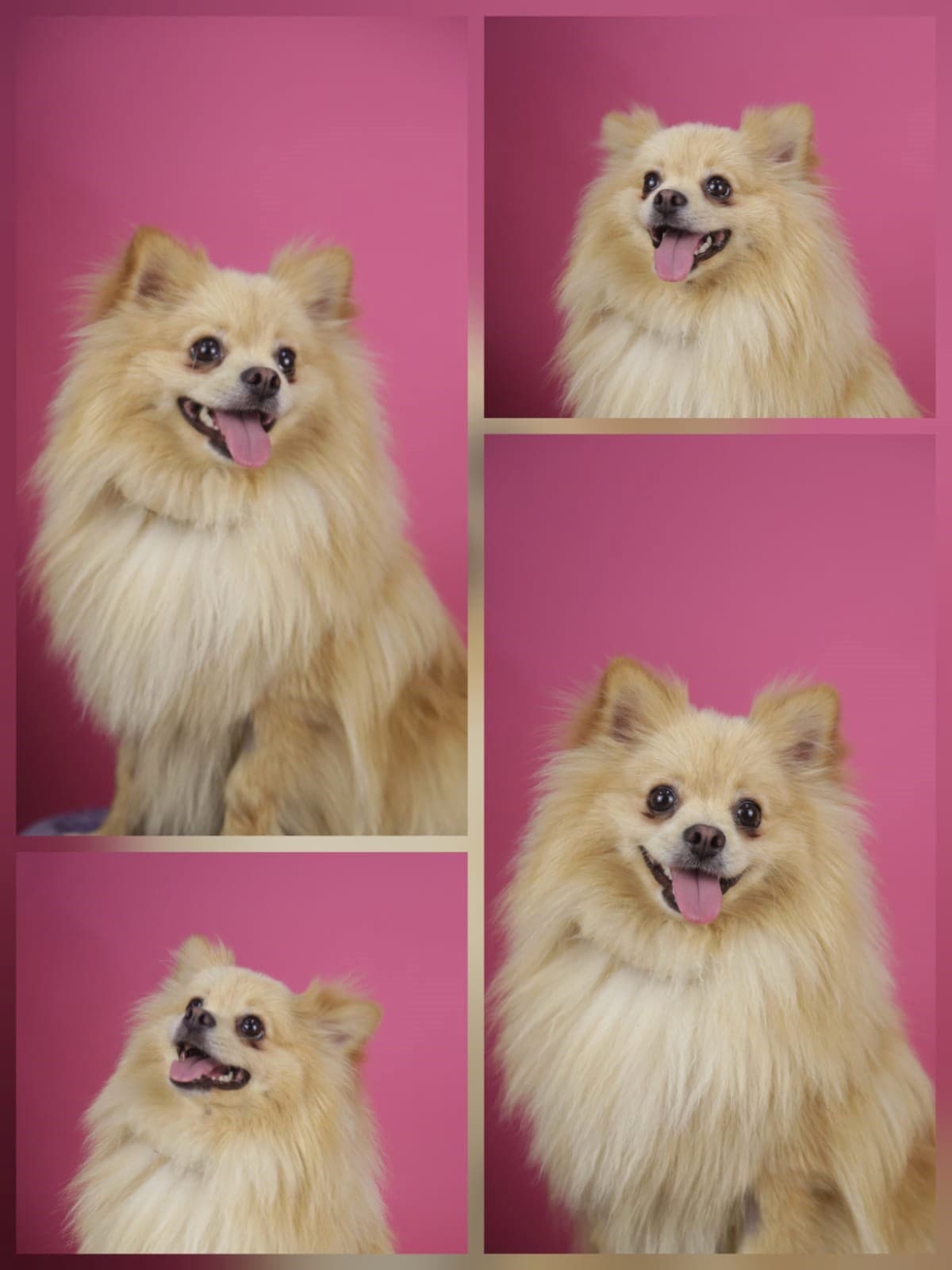 Fluffball